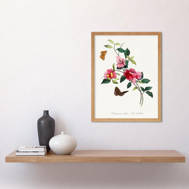 Bougainvillea Pink Floral Vine Bloom Butterflies - Painting Wee Blue Coo Format: Light Brown Framed Paper, Size: 43cm H x 33cm W on Productcaster.