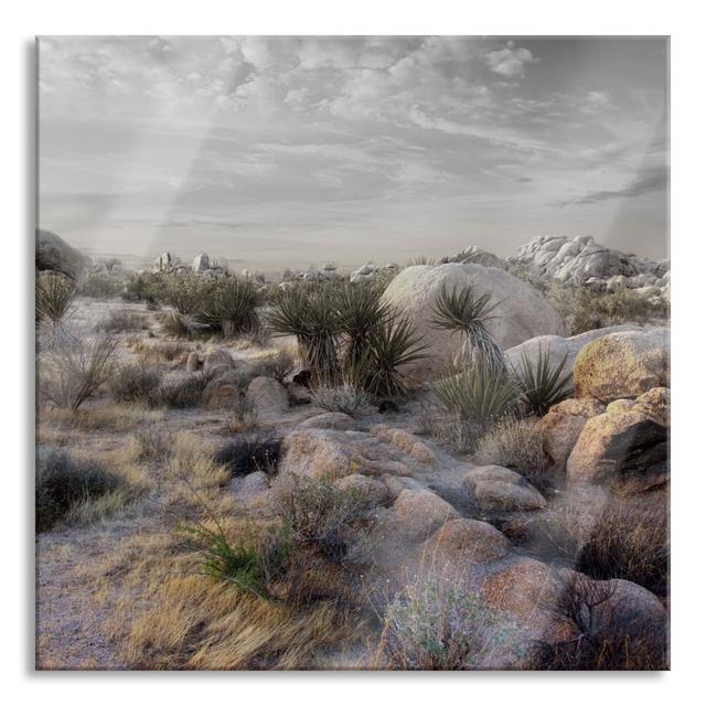 Joshua Desert at Sunset - Unframed Photograph on Glass Gracie Oaks Size: 80cm H x 80cm W x 0.4cm D on Productcaster.