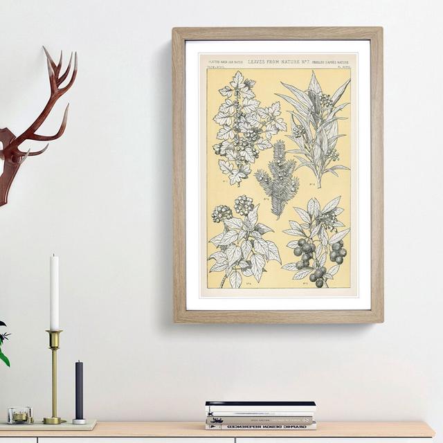 Leaves from Nature No. 7 by Owen Jones - Picture Frame Painting Print East Urban Home Size: 36cm H x 27cm W x 2cm D, Frame Option: Oak Framed on Productcaster.