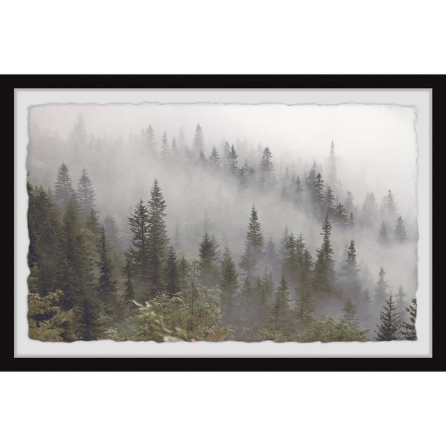 Misty Mountain - Picture Frame Photograph Union Rustic Size: 61cm H x 91cm W x 3.81cm D on Productcaster.