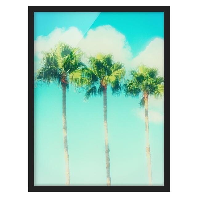 Palm Trees in Front of Sky Blue - Picture Frame Photograph Bay Isle Home Size: 40cm H x 30cm W x 2cm D, Frame Option: Black Framed on Productcaster.