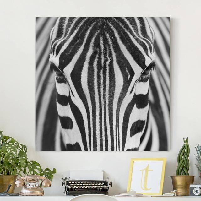 Leinwandbild Zebra-Optik Ebern Designs Format: 260g/m² Canvas, Farbe: Schwarz/Weiß, Größe: 60 cm H x 60 cm B on Productcaster.