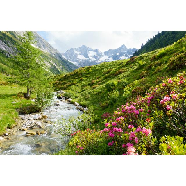 Mountain River With Alpine Roses In The Alps In Spring - Wrapped Canvas Print Union Rustic Size: 20cm H x 30cm W x 3.8cm D on Productcaster.