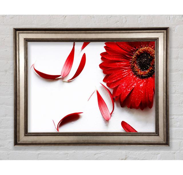 Single Picture Frame Art Prints Bright Star Size: 21cm H x 42cm W on Productcaster.