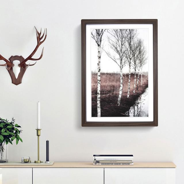 Row of Birch Trees - Picture Frame Painting Print East Urban Home Frame Option: Walnut Framed, Size: 87cm H x 62cm W x 2cm D on Productcaster.