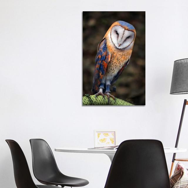 Cute Owl by Ben Heine - Photograph Print on Canvas Alpen Home Format: Wrapped Canvas, Size: 101.6cm H x 66.04cm W x 3.81cm D on Productcaster.