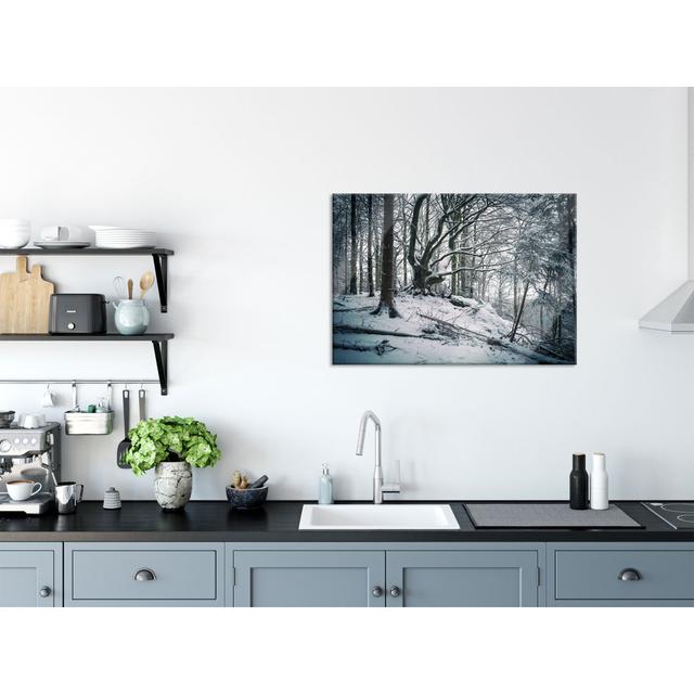 Forest Covered With Snow - No Frame Print on Glass Union Rustic Size: 70cm H x 100cm W x 0.4cm D on Productcaster.