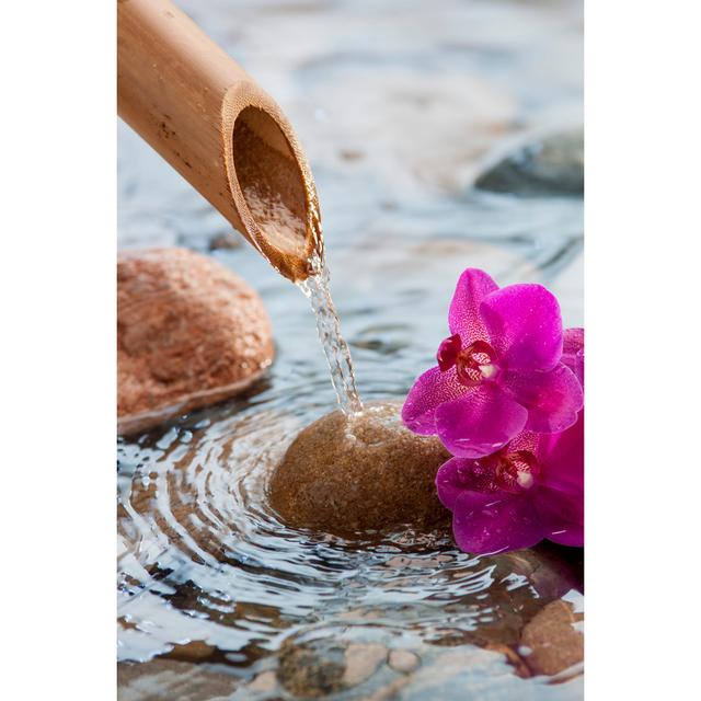 Tranquil Scene by Studio Grand Web - Wrapped Canvas Photograph 17 Stories Size: 122cm H x 81cm W on Productcaster.