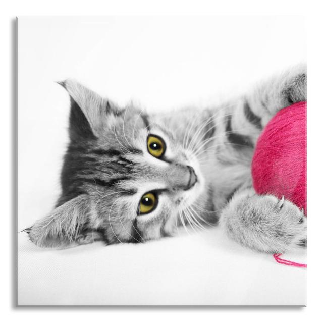 Sweet Kitten with Ball of Wool - Unframed Photograph on Glass Ebern Designs Size: 80cm H x 80cm W x 0.4cm D on Productcaster.