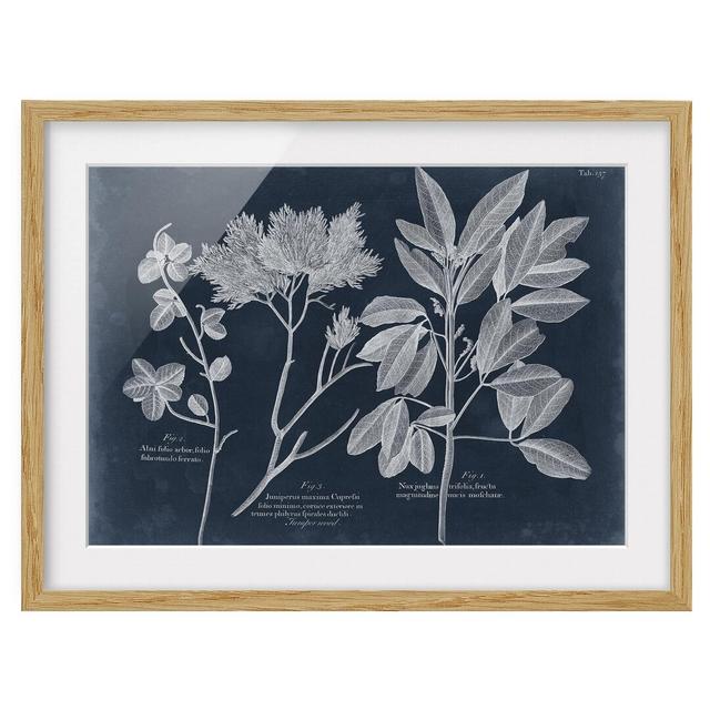 Foliage Dark Blue - Juniper - Picture Frame Graphic Art August Grove Frame Option: Brown Framed, Size: 50cm H x 70cm W x 2cm D on Productcaster.