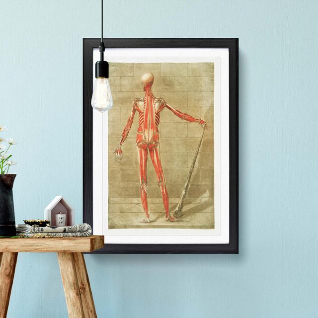 Anatomical Illustration of a Male No. 7 by Gautier-Dagoty - Picture Frame Painting Print East Urban Home Frame Option: Black Framed, Size: 65cm H x 48 on Productcaster.