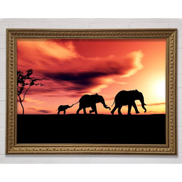 Elephant Family Sunset - Single Picture Frame Art Prints Ebern Designs Size: 59.7cm H x 84.1cm W on Productcaster.