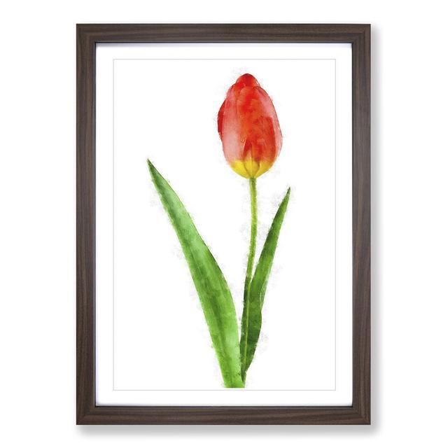 Orange and Yellow Tulip Flower - Picture Frame Graphic Art Print East Urban Home Frame Option: Walnut Framed, Size: 33cm H x 24cm W x 2cm D on Productcaster.