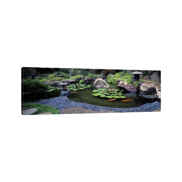 Lotus Blossoms, Japanese Garden, University Of California, Los Angeles, California, USA #2 by Panoramic Images - Wrapped Canvas Panoramic Print Classi on Productcaster.