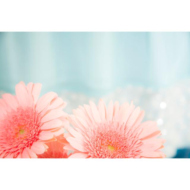 Pink Daisy Flowers by Fstop123 - Wrapped Canvas Print Hashtag Home Size: 30cm H x 46cm W on Productcaster.