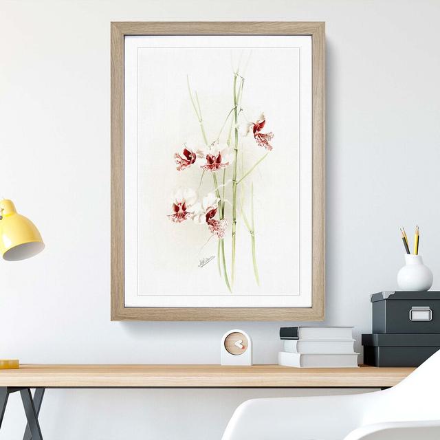 Magnolia Flowers Illustration Tab.74 by Frederick Sander - Picture Frame Art Print East Urban Home Frame Option: Oak, Size: 91cm H x 60cm W x 2cm D on Productcaster.