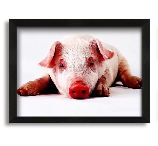 Pig Portrait - Picture Frame Photograph on Canvas Brambly Cottage Size: 30cm H x 42cm W x 10cm D on Productcaster.