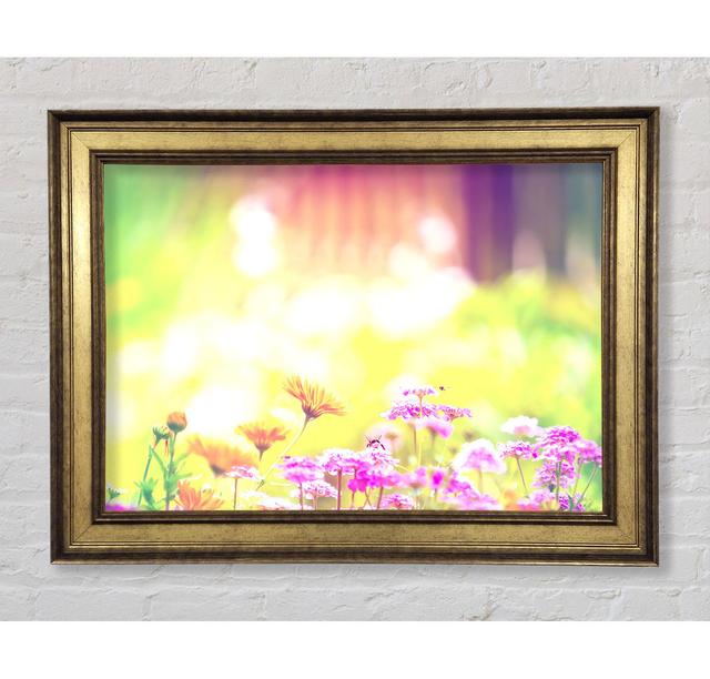 Single Picture Frame Art Prints Bright Star Size: 21cm H x 42cm W x 8cm D on Productcaster.