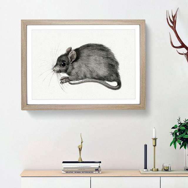 A Mouse by Jean Bernard - Picture Frame Painting Print on Paper East Urban Home Frame Option: Oak Framed, Size: 24cm H x 33cm W x 2cm D on Productcaster.