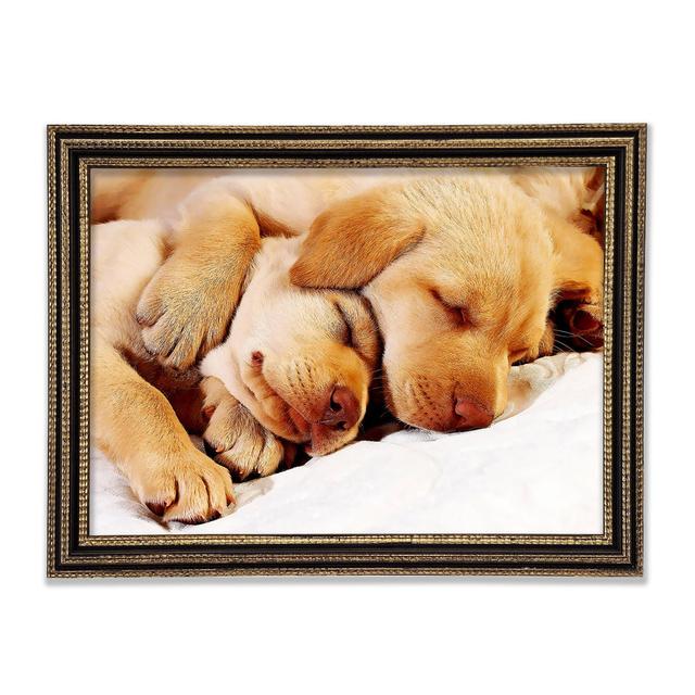 Sleeping Puppies - Print Ebern Designs Size: 42cm H x 59.7cm W x 3cm D on Productcaster.