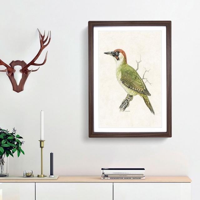 European Green Woodpecker by Von Wright - Picture Frame Painting Print East Urban Home Size: 65cm H x 48cm W x 2cm D, Frame Option: Walnut Framed on Productcaster.