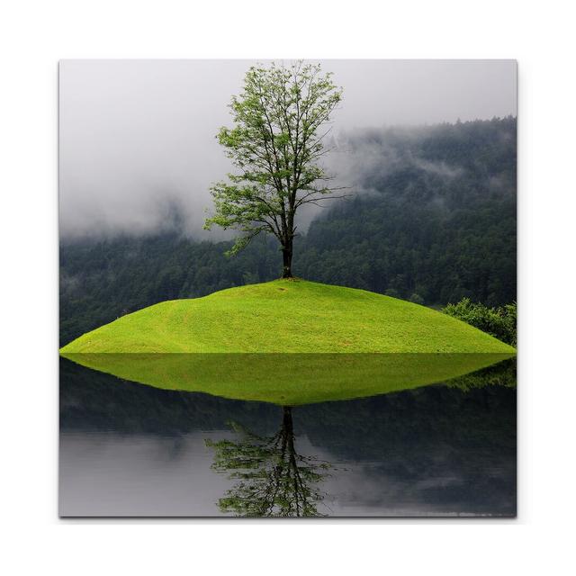 Leinwandbild Spiegelung Baum im Wasser East Urban Home Größe: 90 L x 90 B on Productcaster.