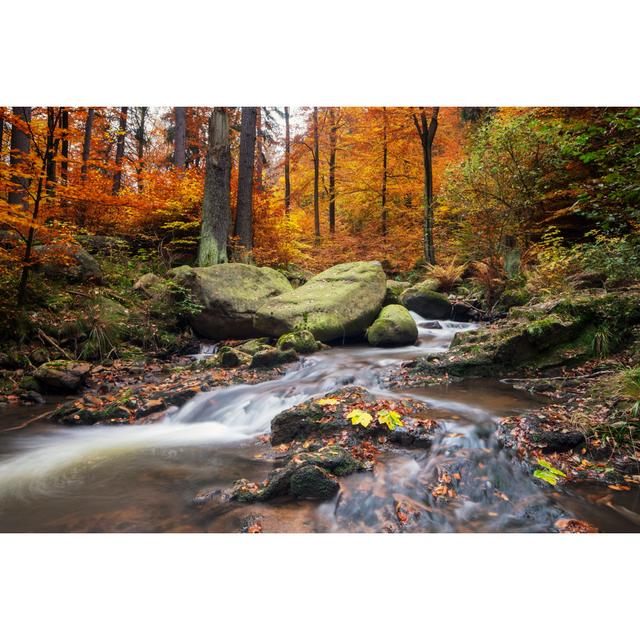 Autumn Stream von DieterMeyrl - Kunstdrucke Alpen Home Größe: 40 cm H x 60 cm B on Productcaster.