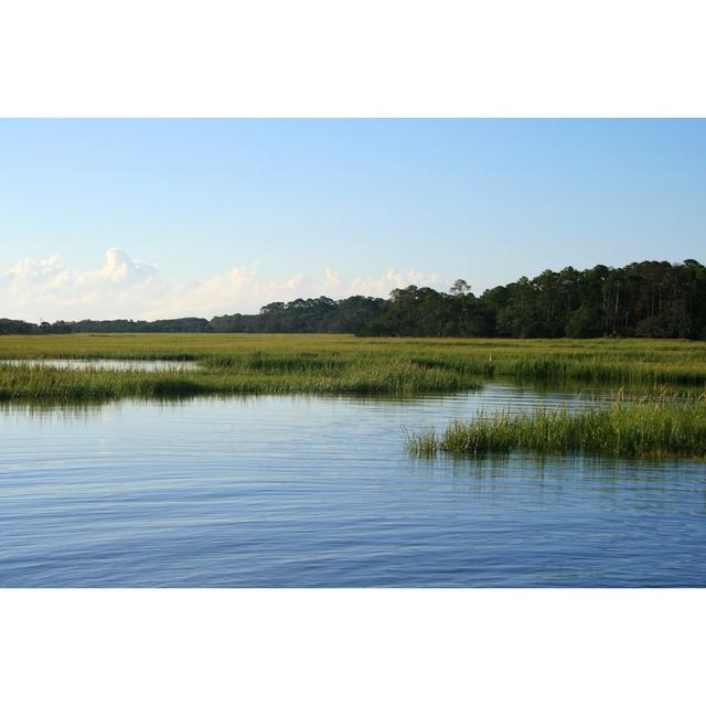 Island Marsh by BeachcottagePhotography - Wrapped Canvas Print Alpen Home Size: 30cm H x 46cm W on Productcaster.