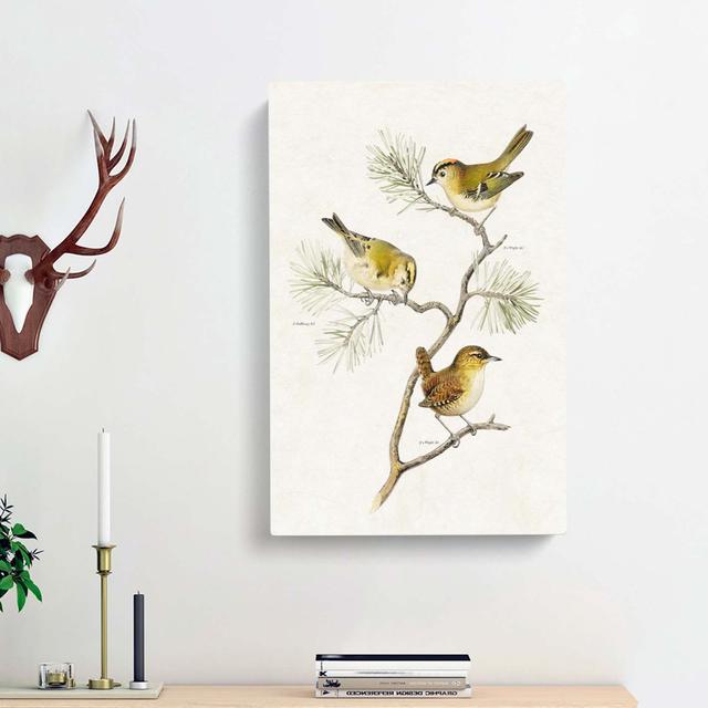 Eurasian Wren & Goldcrest Birds by Von Wright - Wrapped Canvas Painting East Urban Home Size: 76cm H x 50cm W x 3cm D on Productcaster.