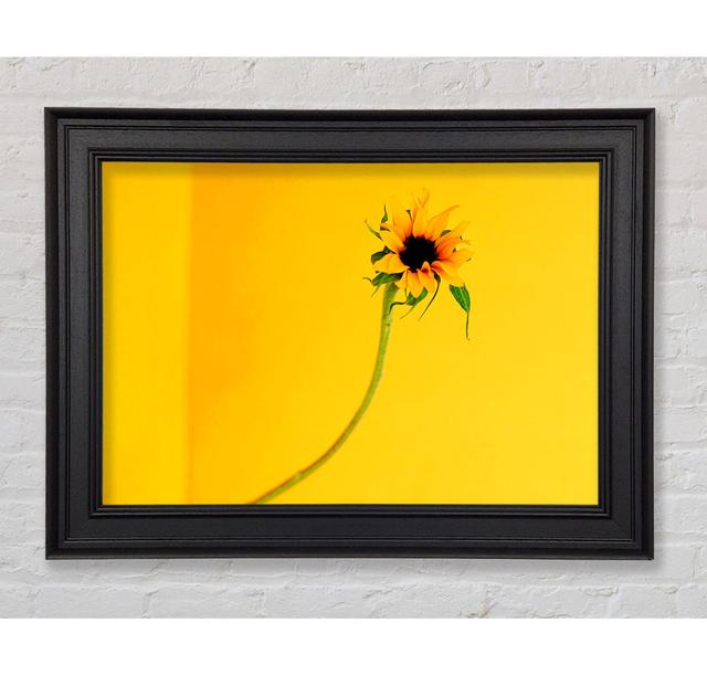 Mustard Sunflower - Single Picture Frame Print August Grove Size: 59.7cm H x 84.1cm W on Productcaster.