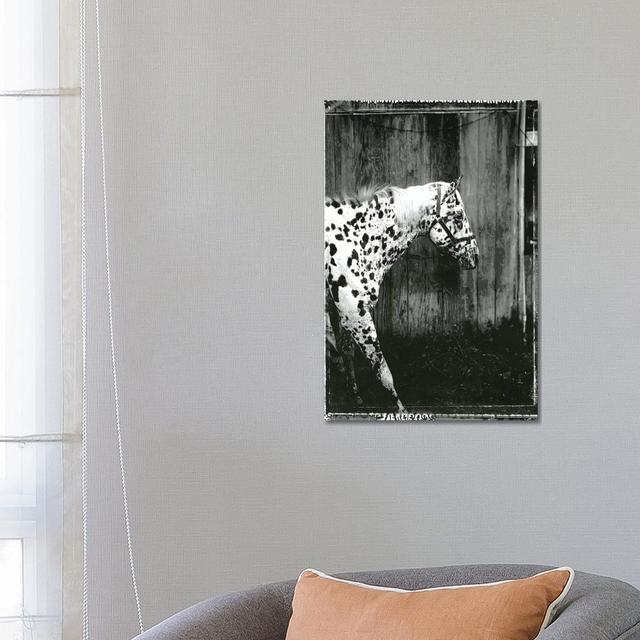 Equine Double Take I by Susan Friedman - Wrapped Canvas Graphic Art August Grove Size: 66.04cm H x 45.72cm W 3.81cm D on Productcaster.