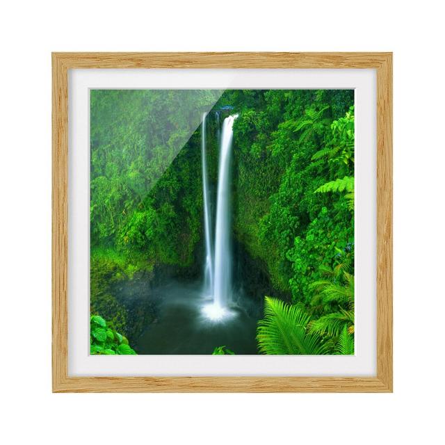 Waterfall in Paradise - Picture Frame Photograph Print on Paper East Urban Home Size: 50cm H x 50cm W, Frame Options: Natural oak on Productcaster.