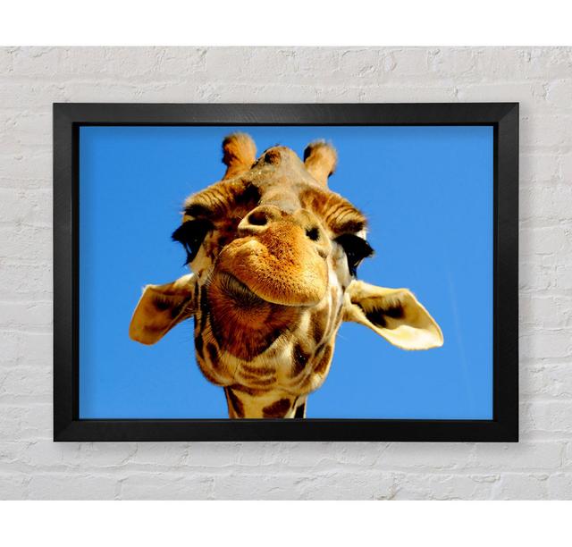 Giraffe Smile - Einzelner Bilderrahmen Kunstdrucke Ebern Designs Größe: 100 cm H x 141,4 cm B x 3,4 cm T on Productcaster.