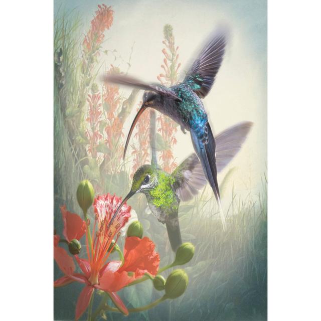 Hummingbird Cycle I by Steve Hunziker - Wrapped Canvas Art Prints Rosalind Wheeler Size: 46cm H x 30cm W x 3.8cm D on Productcaster.