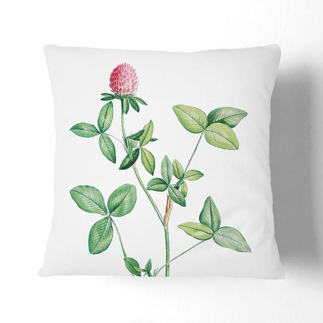 Clover Flower by Pierre-Joseph Redoute in , White/Green Cushion with Filling East Urban Home Size: 55cm H x 55cm W x 20cm D on Productcaster.