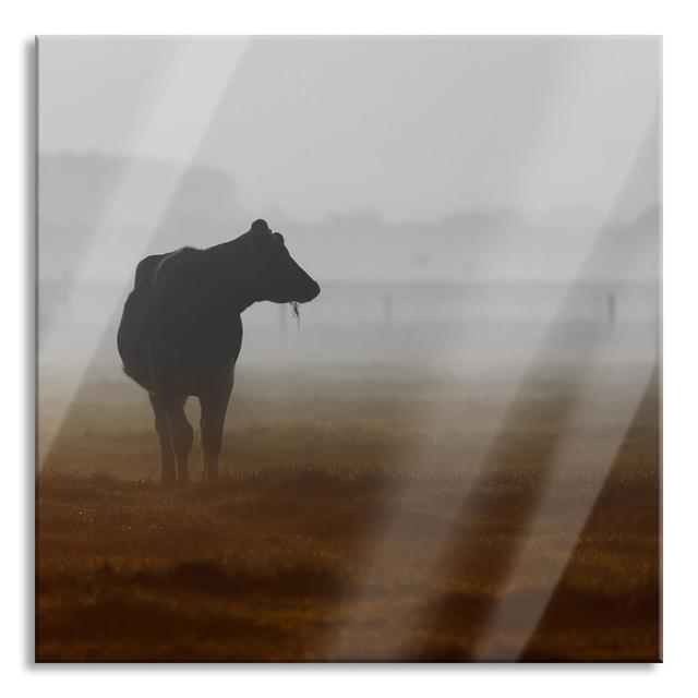 Glasbild Cow Grazing in a Pasture Sommerallee Größe: 40 cm H x 40 cm B x 0,4 cm T on Productcaster.