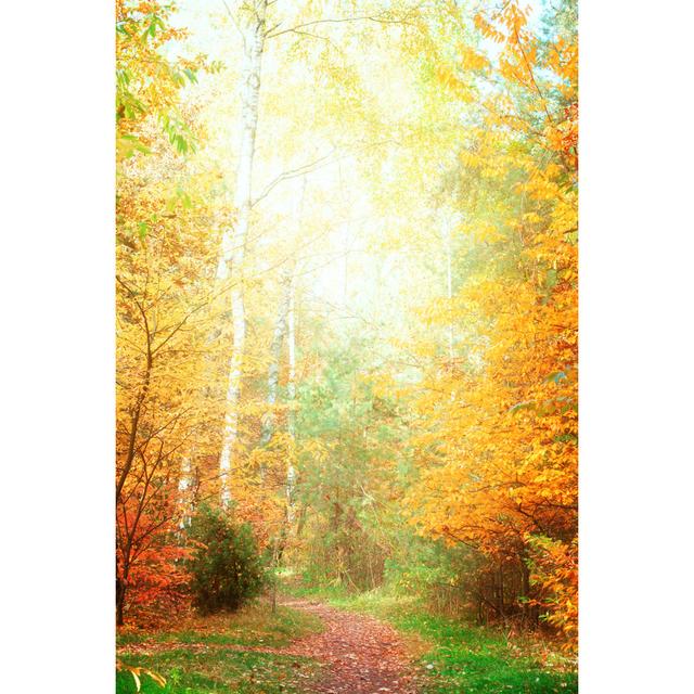 Soumare Fall Park - Wrapped Canvas Print Latitude Run Size: 30cm H x 20cm W x 3.8cm D on Productcaster.