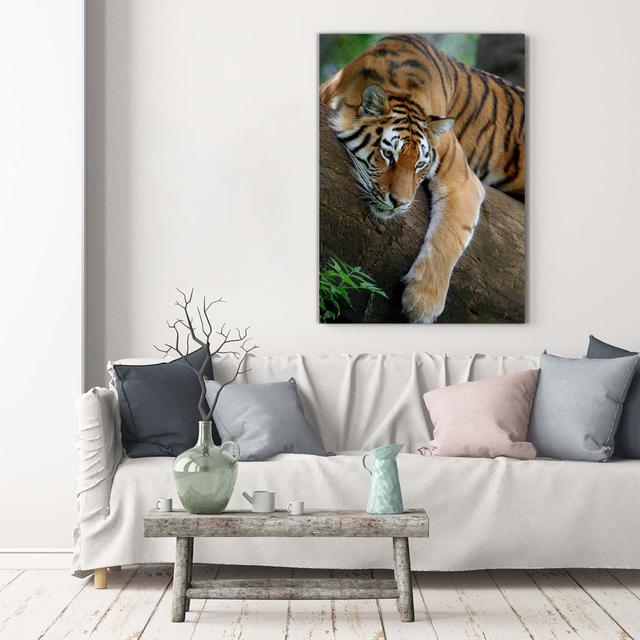 Tiger auf dem Baum - Kunstdrucke auf Leinwand Ebern Designs on Productcaster.