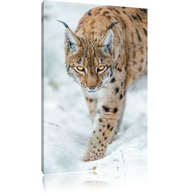 Leinwandbild Wachsamer Luchs im Schnee East Urban Home Größe: 120 cm H x 80 cm B on Productcaster.