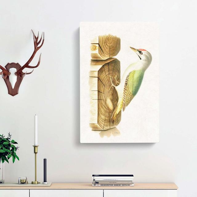 Woodpecker by Von Wright - Wrapped Canvas Painting East Urban Home Size: 60cm H x 40cm W x 3cm D on Productcaster.