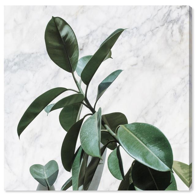 'Plant Life Marble' Photographic Print on Wrapped Canvas Oliver Gal Size: 40.6cm H x 40.6cm W on Productcaster.