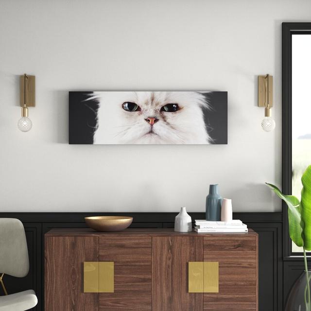 Gerahmtes Leinwandbild Weiße Katze im Portrait East Urban Home on Productcaster.