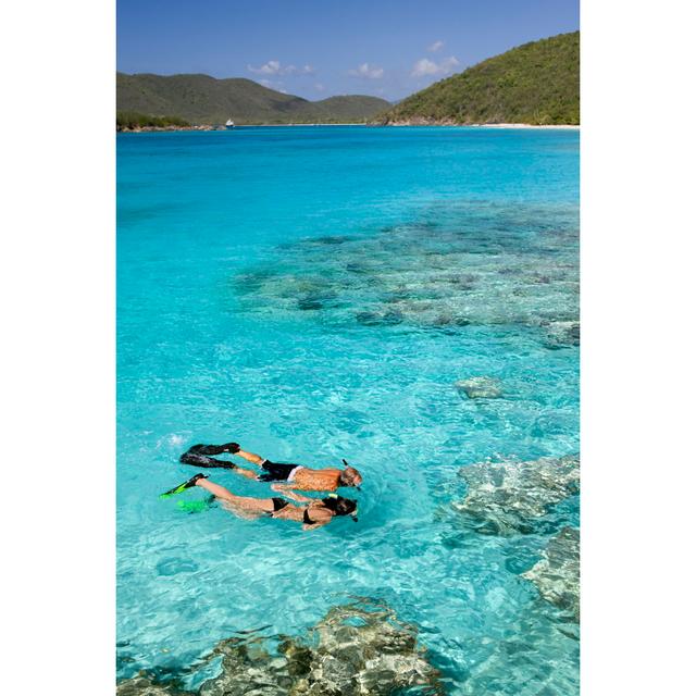 Couple Snorkeling by Cdwheatley - No Frame Print on Canvas House of Hampton Size: 120cm H x 80cm W on Productcaster.