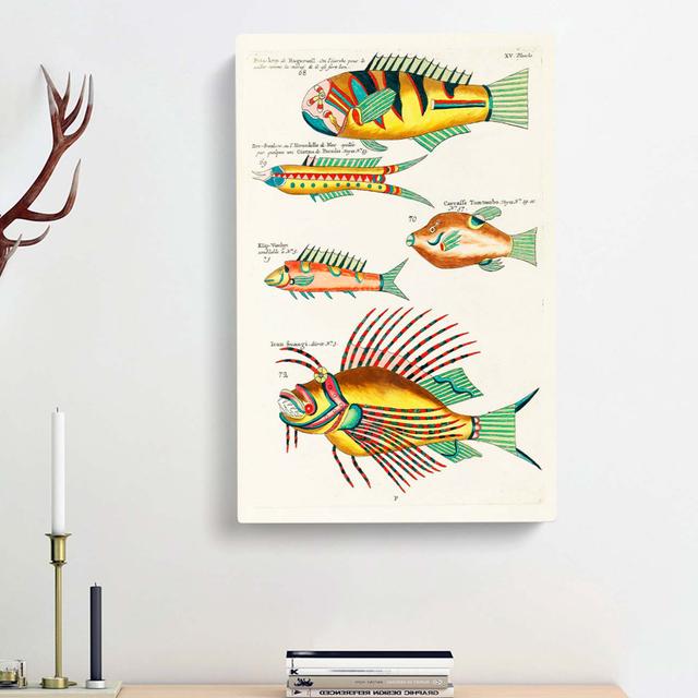 East Indies Fish Illustrations XV by Louis Renard - Wrapped Canvas Painting East Urban Home Size: 60cm H x 40cm W x 3cm D on Productcaster.