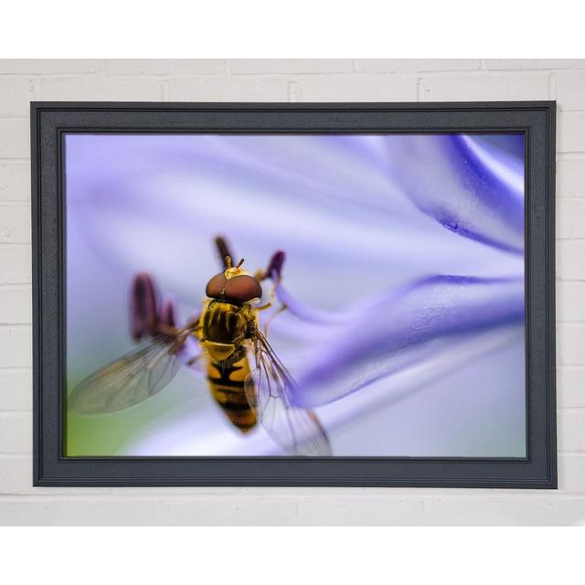 Single Picture Frame Art Prints August Grove Size: 84.1cm H x 118.9cm W on Productcaster.