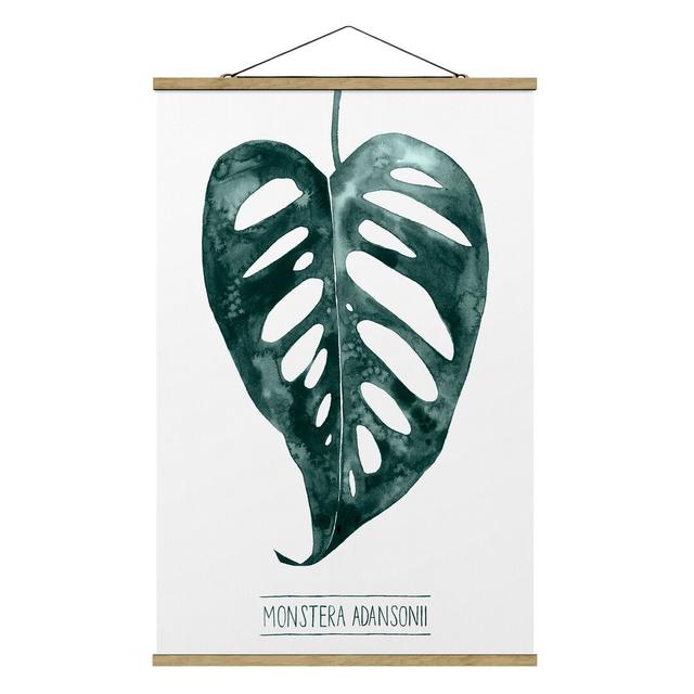 Emerald Green Monstera Adansonii - Graphic Art Print Pergo Classics Size: 150cm H x 100cm W x 0.3cm D on Productcaster.