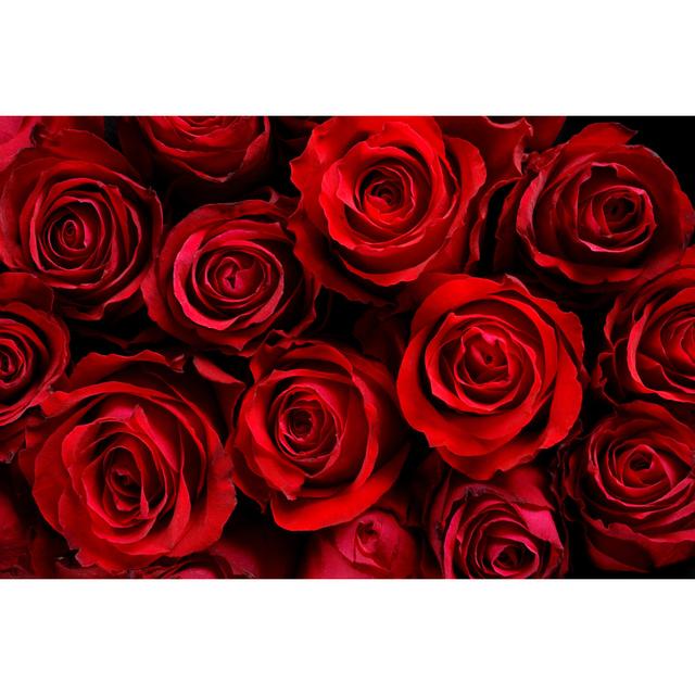 Red Roses by Malerapaso - Print Fairmont Park Size: 61cm H x 91cm W on Productcaster.