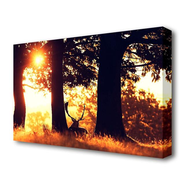 Stag In The Morning forest Landscape - Wrapped Canvas Photograph Print East Urban Home Size: 50.8 cm H x 81.3 cm W on Productcaster.