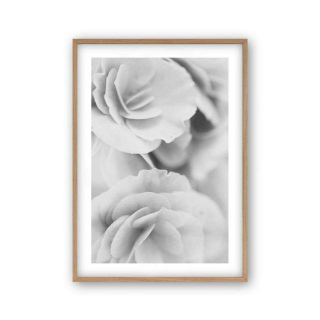 Print Blim and Blum Size: 31 cm H x 22 cm W x 2.5 cm D, Format: Oak Frame on Productcaster.