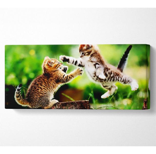 Cat Fight - Wrapped Canvas Art Prints Ebern Designs Size: 40.6cm H x 101.6cm W on Productcaster.